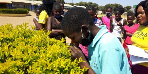 Litclub members learning about Environmental Awareness